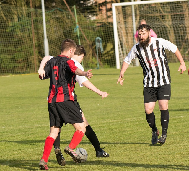 的不同阶段 的不同阶段