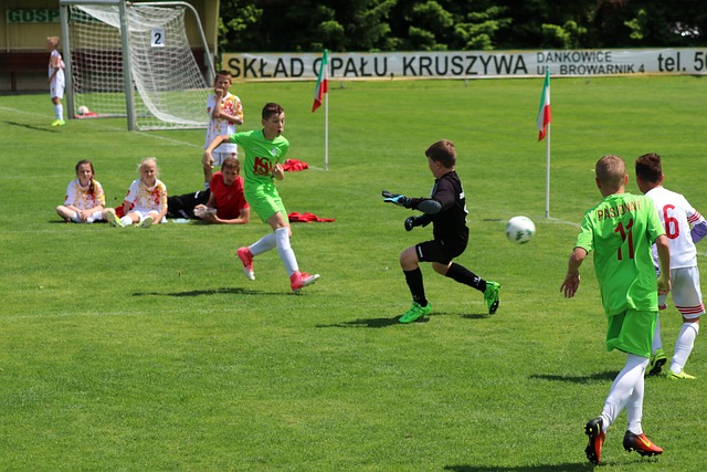 与奥斯曼标 与奥斯曼标