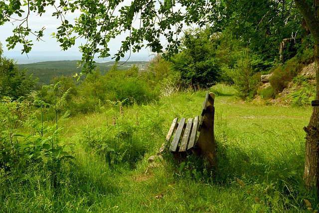 众不同的策 众不同的策