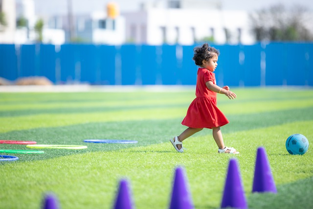 重要机会 重要机会
